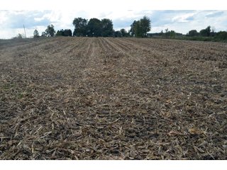 Property photo 27 - EHLE FARMS AUCTION - 118+/- ACRES IN 9 TRACTS IN ALLEN COUNTY, INDIANA